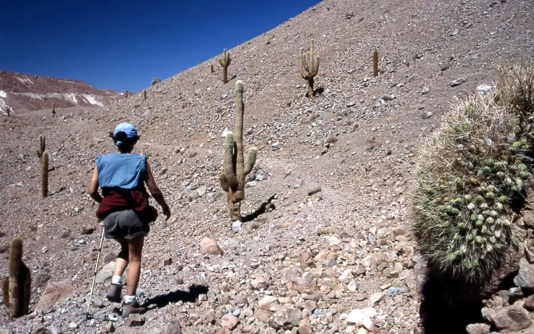 Trek Rio grande
