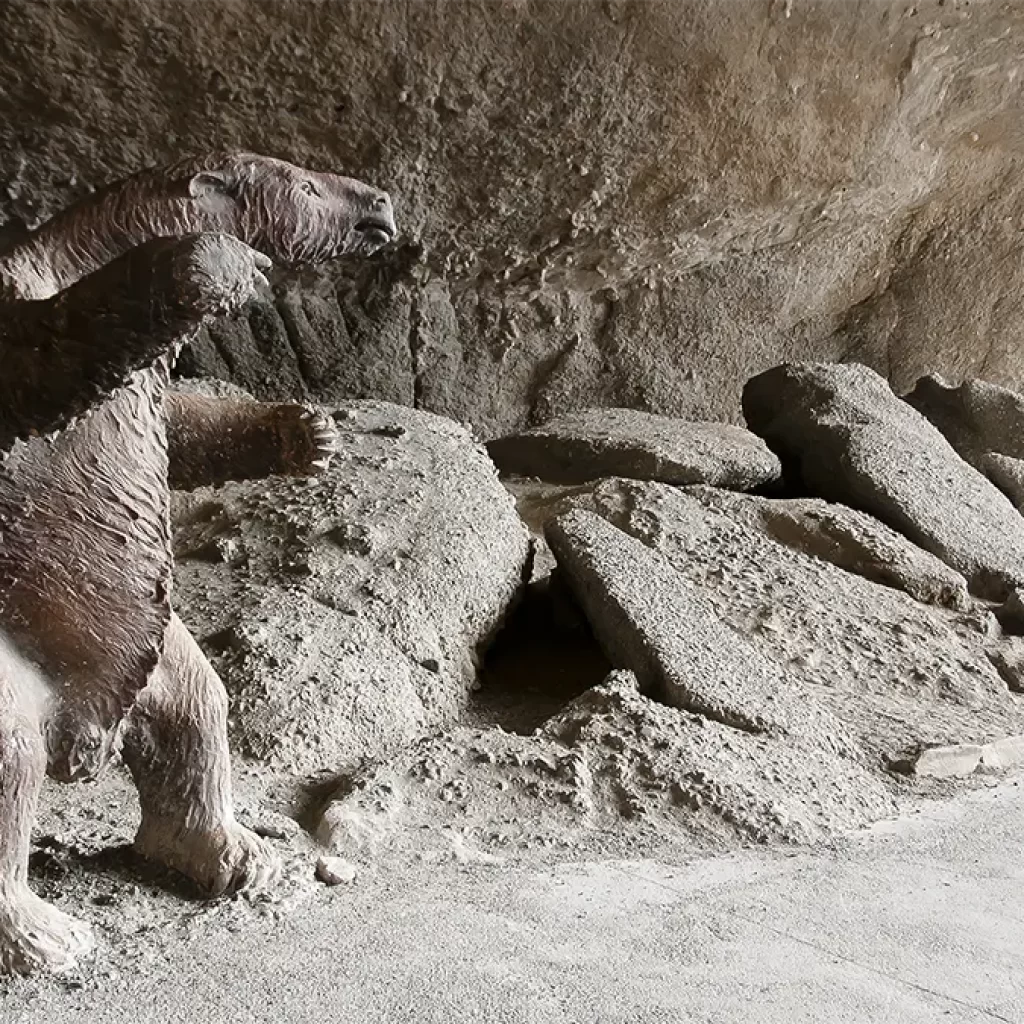 Paine Esencial Cueva Milodón