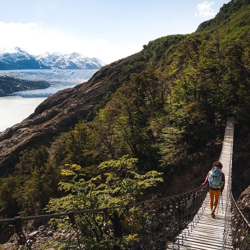 Puentes Colgantes Vertice Travel