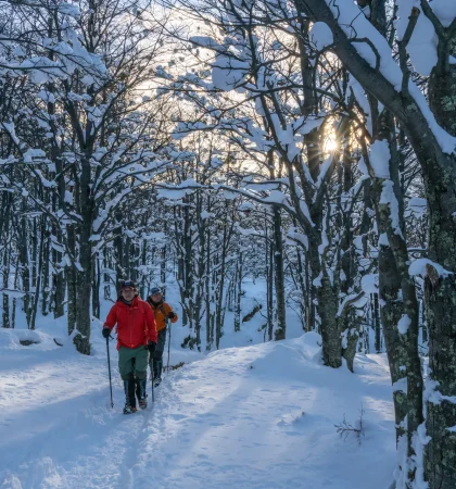 4D PAINE ESENCIAL INVERNAL