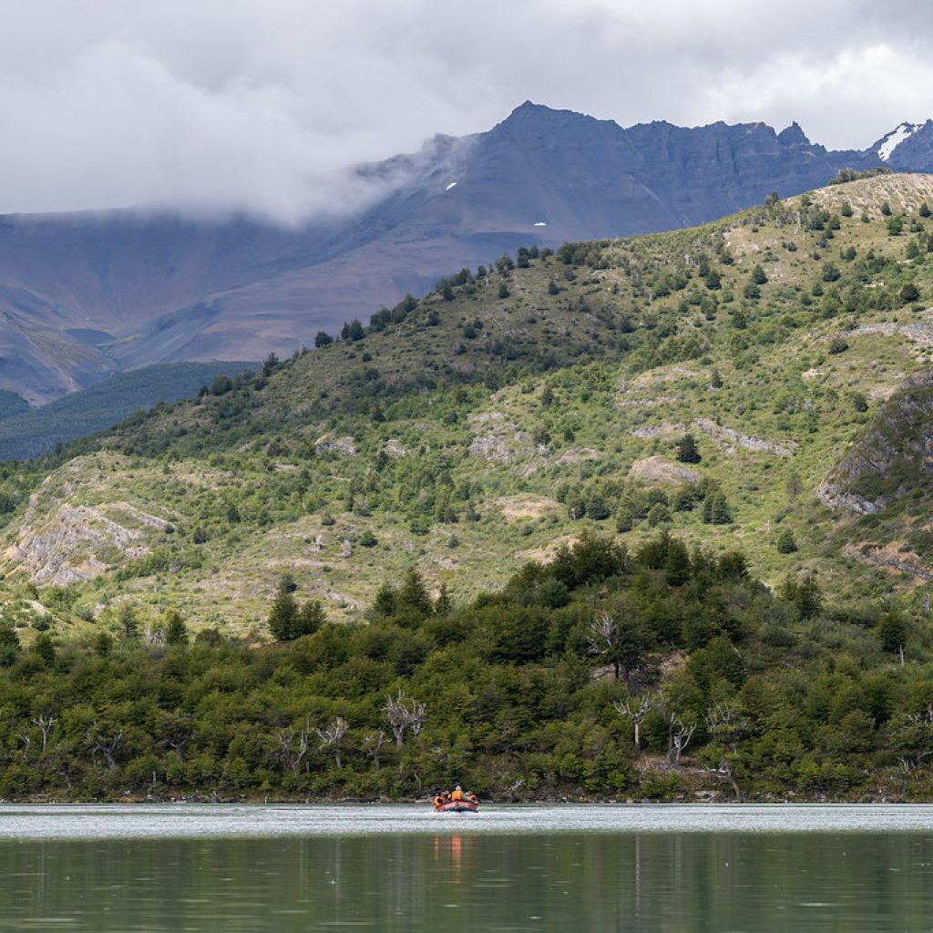 Vertice Refugio Camping Dickson
